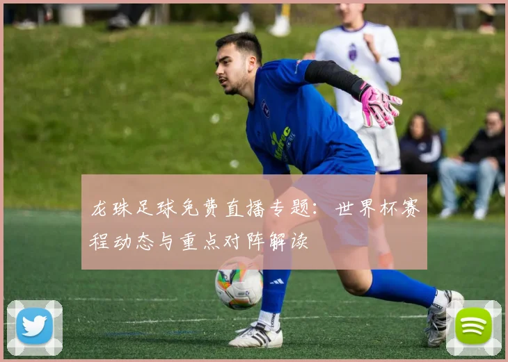 龙珠足球免费直播专题：世界杯赛程动态与重点对阵解读