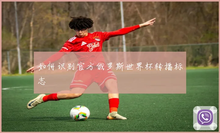如何识别官方俄罗斯世界杯转播标志