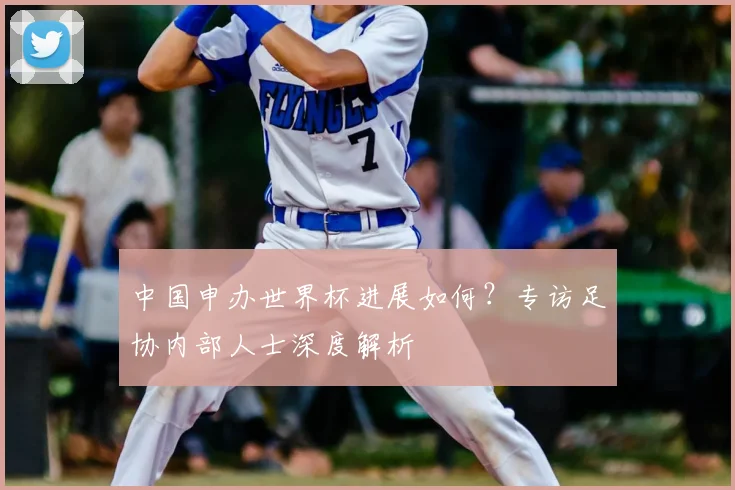 中国申办世界杯进展如何?专访足协内部人士深度解析