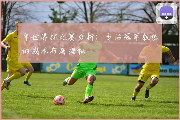 年世界杯比赛分析：专访冠军教练的战术布局揭秘