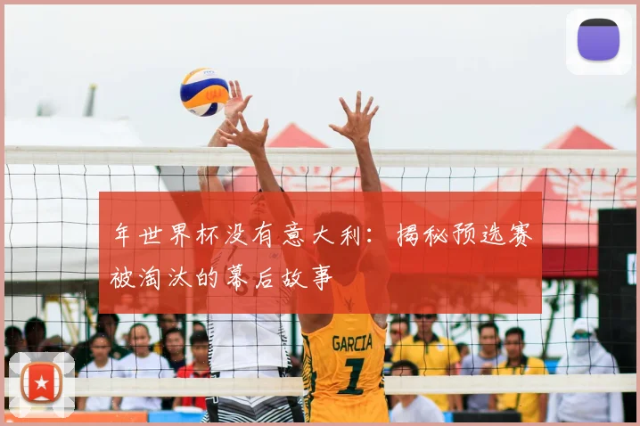年世界杯没有意大利：揭秘预选赛被淘汰的幕后故事