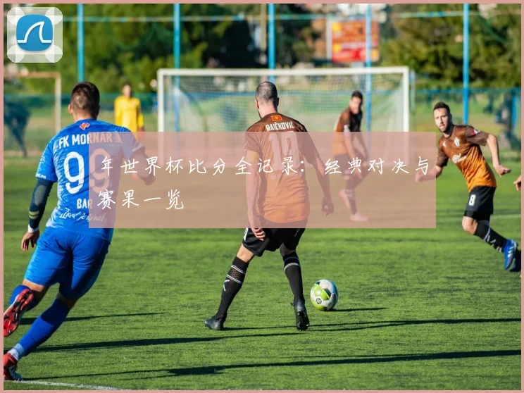 年世界杯比分全记录：经典对决与赛果一览
