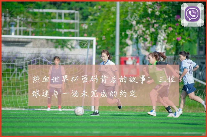 热血世界杯密码背后的故事:三位球迷与一场未完成的约定
