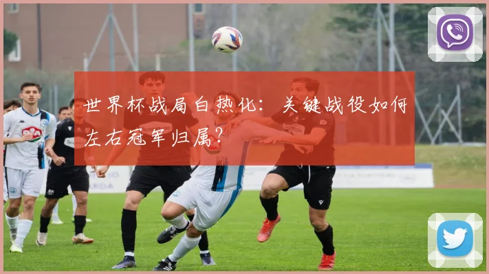 世界杯战局白热化:关键战役如何左右冠军归属?