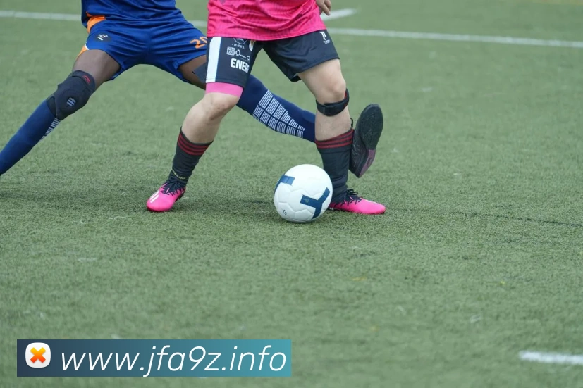 九游体育j9官网APP 高清赛事图